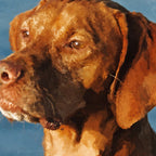 Vizsla dog - Hungarian hound Coffee Mug Gallery Image 2