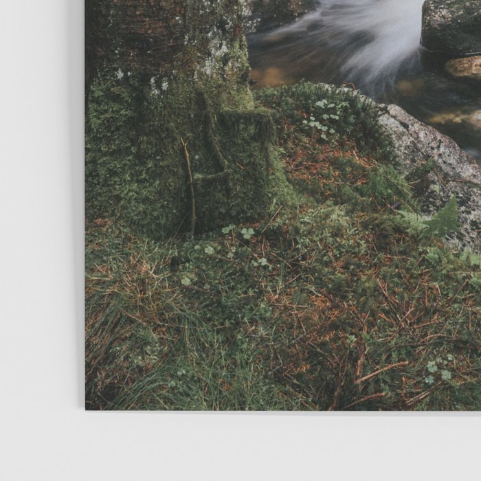The Fairytale Forest - Landscape and Nature Photography Poster Gallery Image 3