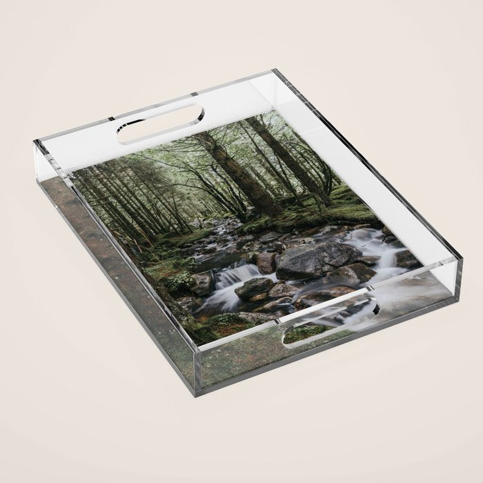 The Fairytale Forest - Landscape and Nature Photography Acrylic Tray Gallery Image 1