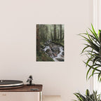 The Fairytale Forest - Landscape and Nature Photography Poster Gallery Image 2