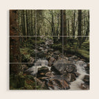 The Fairytale Forest - Landscape and Nature Photography Wood Wall Art Gallery Image 1