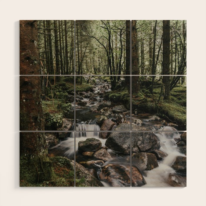 The Fairytale Forest - Landscape and Nature Photography Wood Wall Art Gallery Image 1