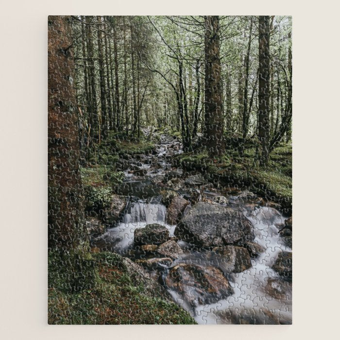 The Fairytale Forest - Landscape and Nature Photography Jigsaw Puzzle Gallery Image 1