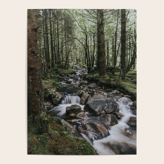 The Fairytale Forest - Landscape and Nature Photography Poster Gallery Image 4