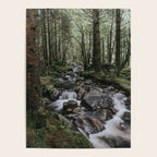 The Fairytale Forest - Landscape and Nature Photography Poster Gallery Image 4