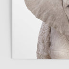 Baby Elephant, Safari Nursery Decor, Baby Animals Art Print by Synplus Poster Gallery Image 3
