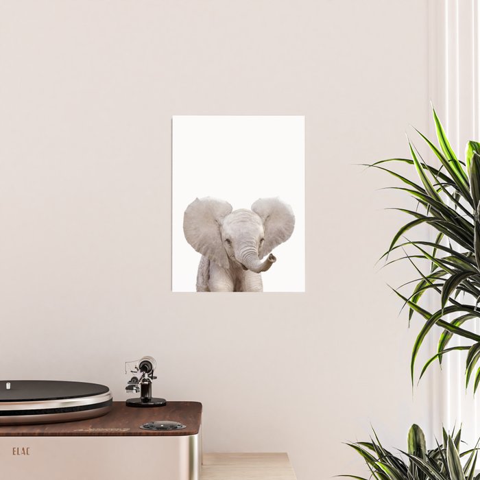 Baby Elephant, Safari Nursery Decor, Baby Animals Art Print by Synplus Poster Gallery Image 2