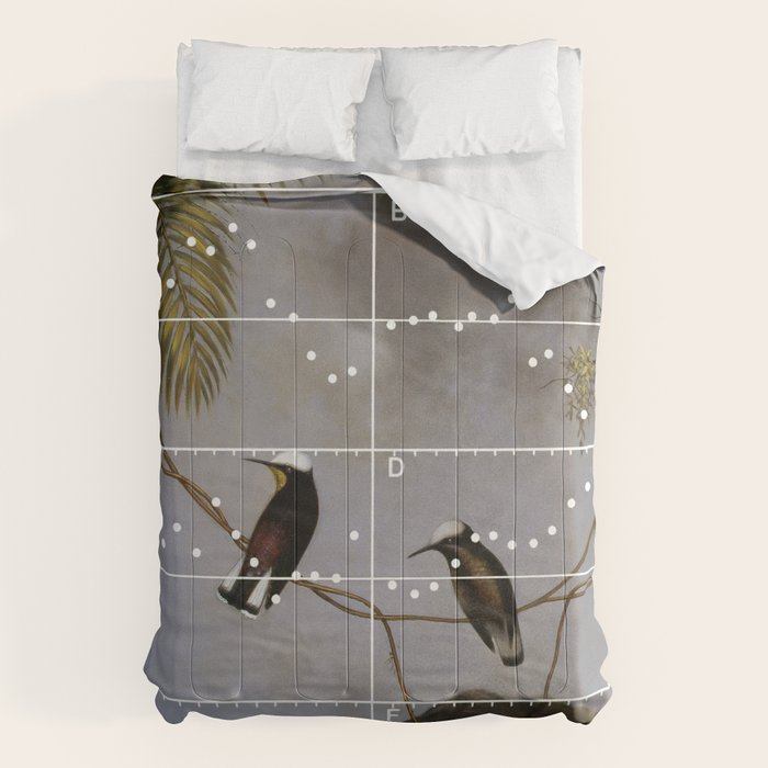 Hymn 17 Comforter Gallery Image 6