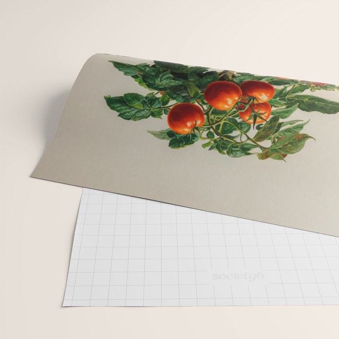 Japanese Wall Art Botanical Art Tomato Girl Summer Sage Green Painting Japandi Poster Kitchen Art Wrapping Paper Gallery Image 2