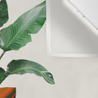 A house plant / Still life Wall Tapestry Gallery Image 3