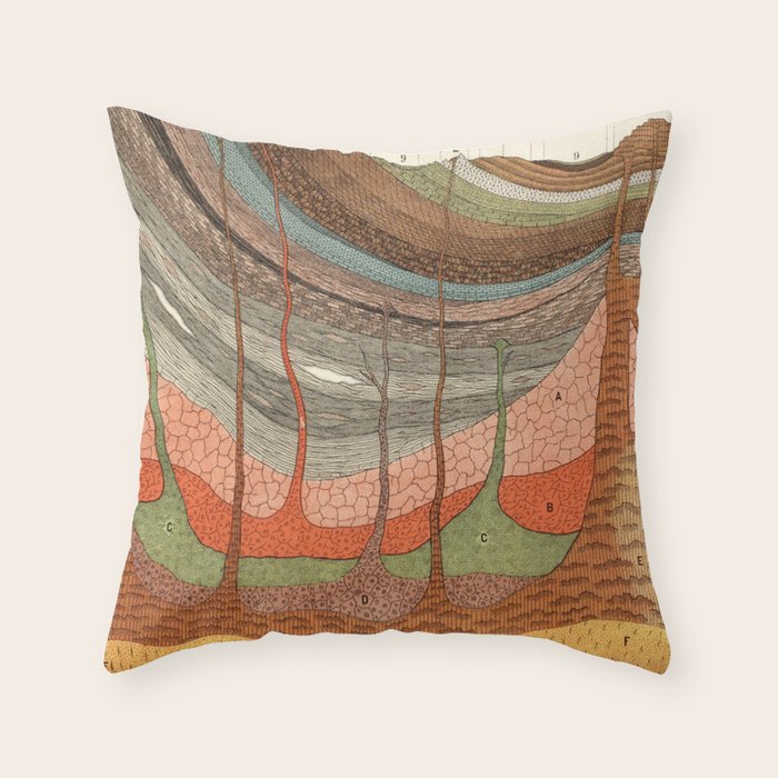 Geology Chart Throw Pillow Gallery Image 1