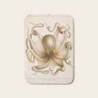 Octopus from "Mollusques Méditeranéens" by Jean Baptiste Vérany, 1851 Bath Mat Gallery Image 1