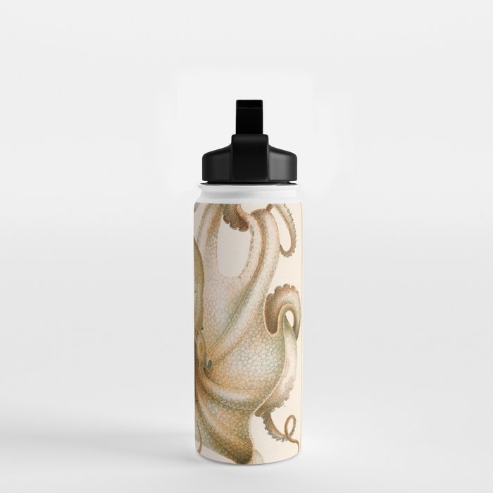 Octopus from "Mollusques Méditeranéens" by Jean Baptiste Vérany, 1851 Water Bottle Gallery Image 2