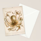 Octopus from "Mollusques Méditeranéens" by Jean Baptiste Vérany, 1851 Stationery Card Gallery Image 2