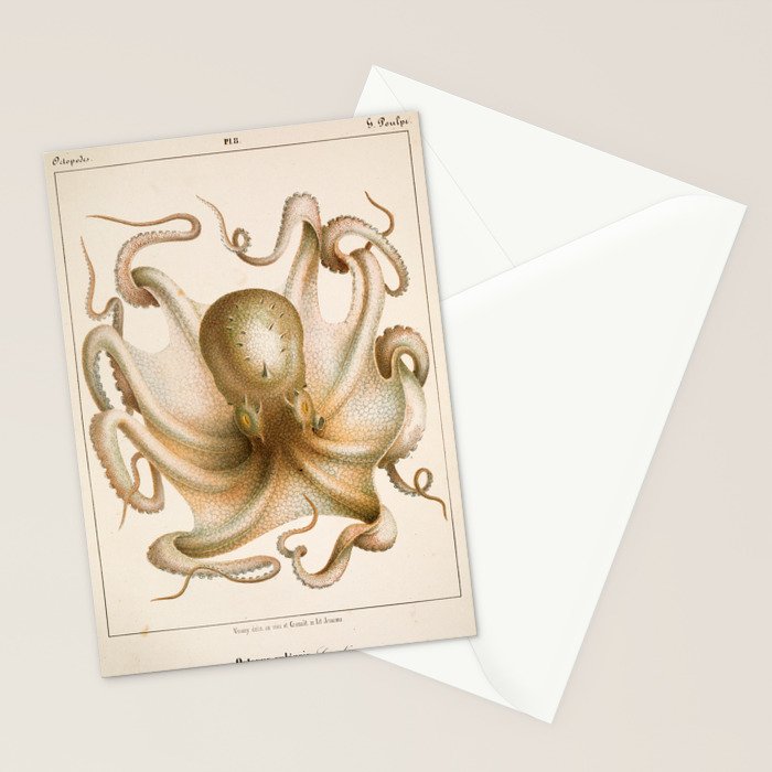 Octopus from "Mollusques Méditeranéens" by Jean Baptiste Vérany, 1851 Stationery Card Gallery Image 2
