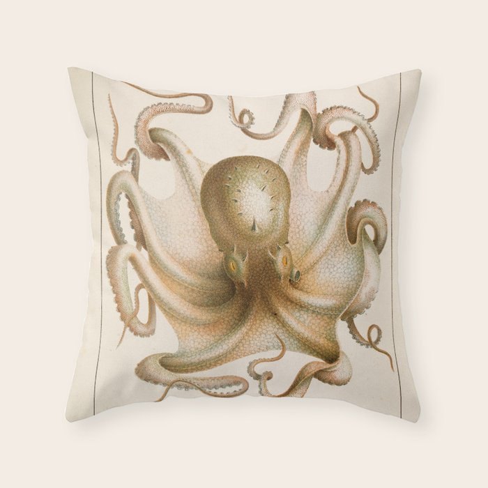 Octopus from "Mollusques Méditeranéens" by Jean Baptiste Vérany, 1851 Throw Pillow Gallery Image 6