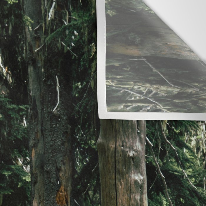 Forest Trail Wall Tapestry Gallery Image 3