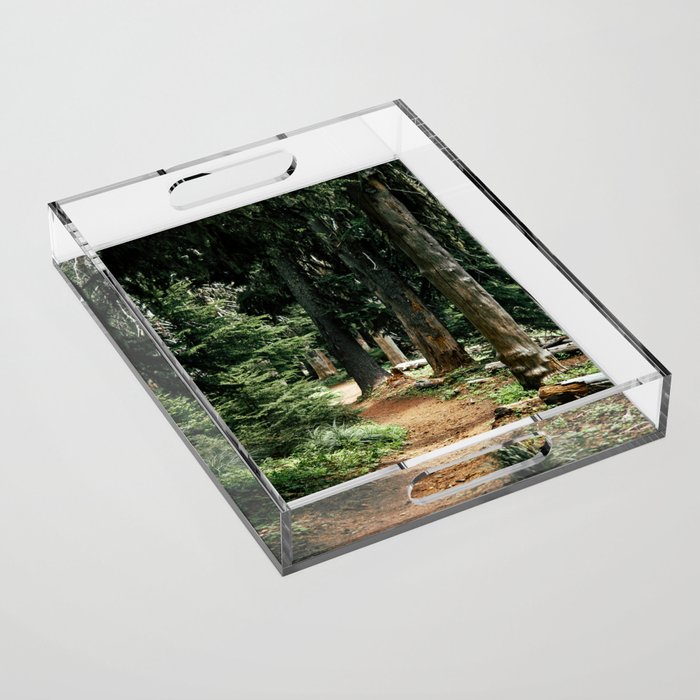 Forest Trail Acrylic Tray Gallery Image 1
