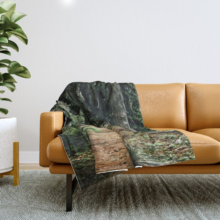 Forest Trail Throw Blanket Gallery Image 1