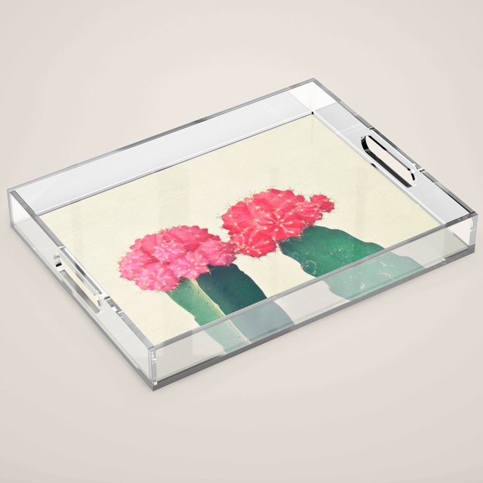 Plaid Cacti Acrylic Tray Gallery Image 1