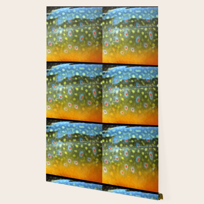 Brook Trout Skin Fly Fishing Wallpaper Gallery Image 2