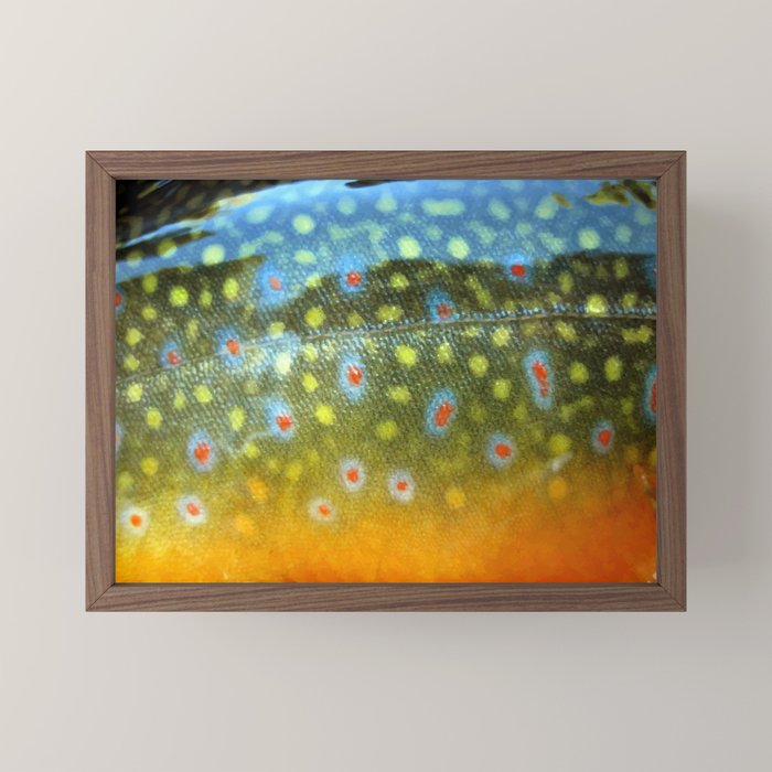 Brook Trout Skin Fly Fishing Mini Art Print Gallery Image 2