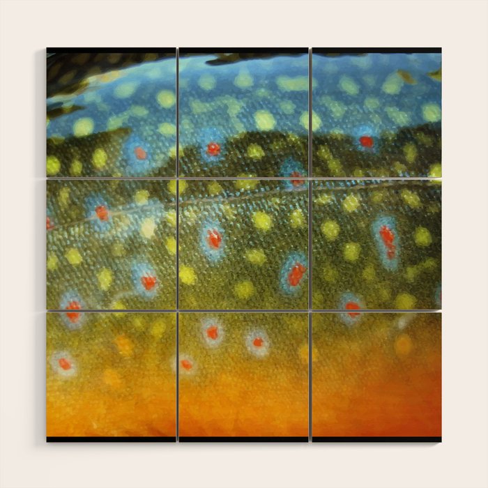Brook Trout Skin Fly Fishing Wood Wall Art Gallery Image 1