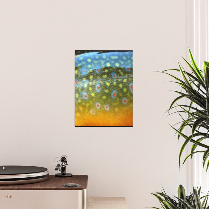 Brook Trout Skin Fly Fishing Poster Gallery Image 2