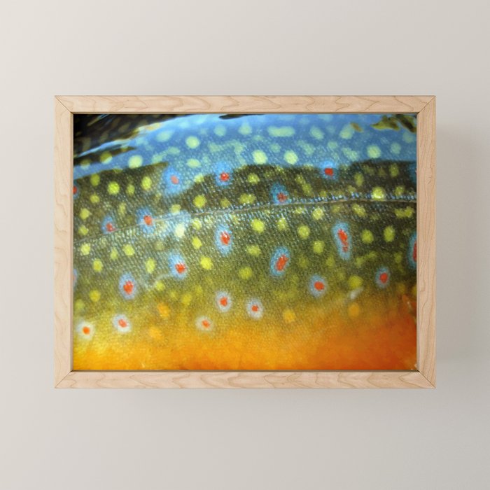 Brook Trout Skin Fly Fishing Mini Art Print Gallery Image 1