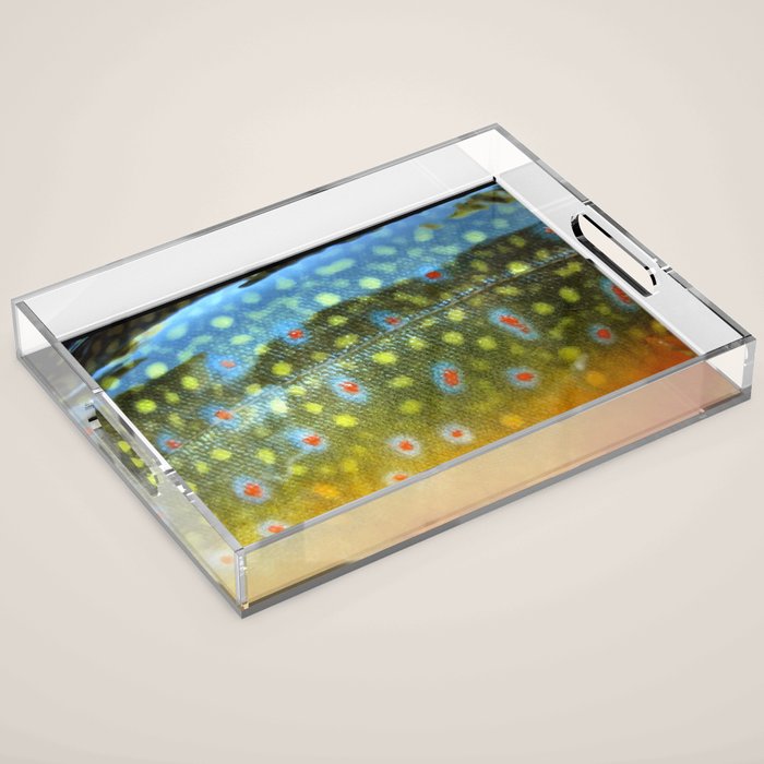 Brook Trout Skin Fly Fishing Acrylic Tray Gallery Image 1
