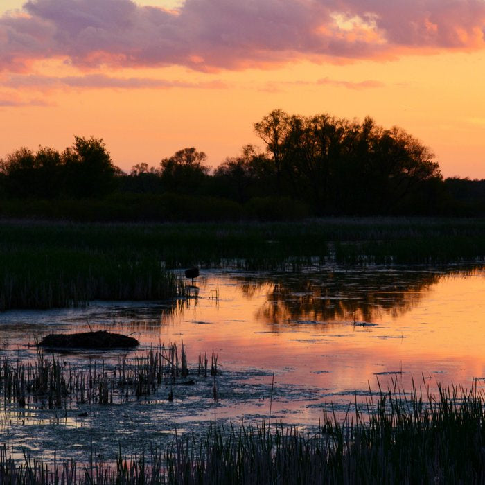 Perfect Pastel Spring Sunset Coffee Mug Gallery Image 2