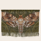 Deaths-Head Moth Wall Hanging Gallery Image 1