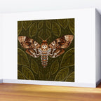 Deaths-Head Moth Wall Mural Gallery Image 2