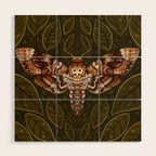 Deaths-Head Moth Wood Wall Art Gallery Image 1