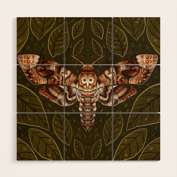 Deaths-Head Moth Wood Wall Art Gallery Image 1