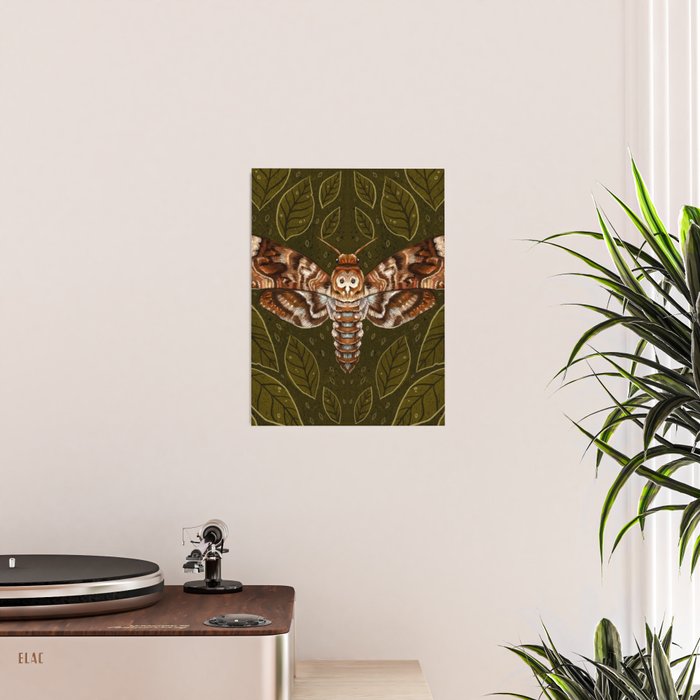 Deaths-Head Moth Poster Gallery Image 2