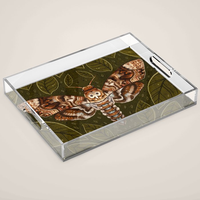 Deaths-Head Moth Acrylic Tray Gallery Image 1