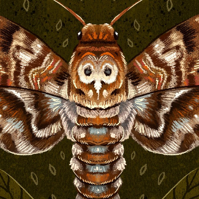 Deaths-Head Moth Coffee Mug Gallery Image 2