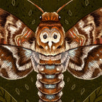 Deaths-Head Moth Coffee Mug Gallery Image 2