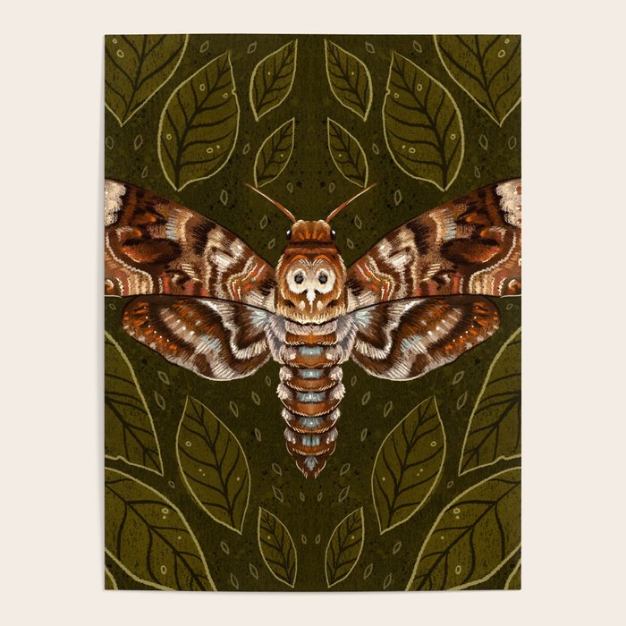 Deaths-Head Moth Poster Gallery Image 1