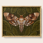 Deaths-Head Moth Serving Tray Gallery Image 1