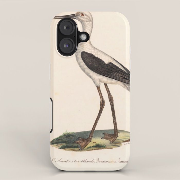 Ornithological illustration from "La Galerie de Oiseaux" ("Bird Gallery"), 1825 iPhone Case Gallery Image 1