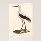 Ornithological illustration from "La Galerie de Oiseaux" ("Bird Gallery"), 1825 Stationery Card Gallery Image 2