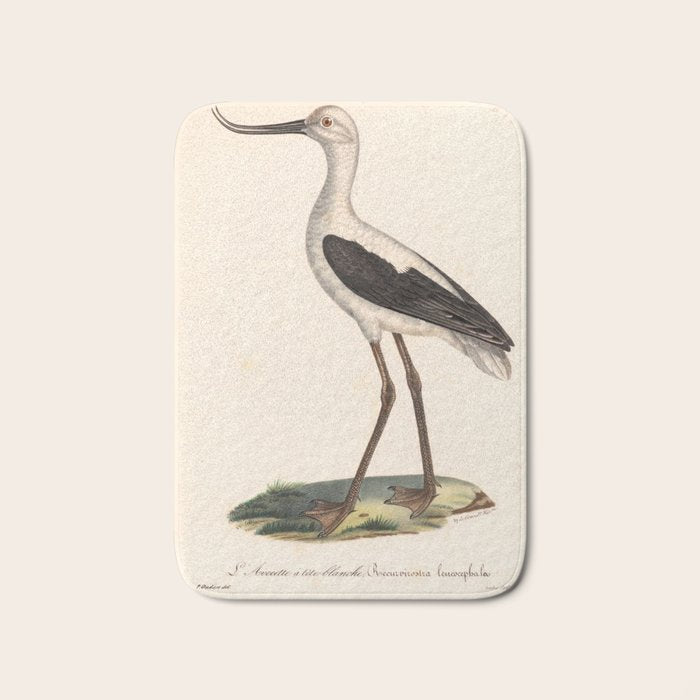 Ornithological illustration from "La Galerie de Oiseaux" ("Bird Gallery"), 1825 Bath Mat Gallery Image 1