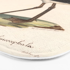 Ornithological illustration from "La Galerie de Oiseaux" ("Bird Gallery"), 1825 Bath Mat Gallery Image 3