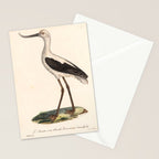 Ornithological illustration from "La Galerie de Oiseaux" ("Bird Gallery"), 1825 Stationery Card Gallery Image 2