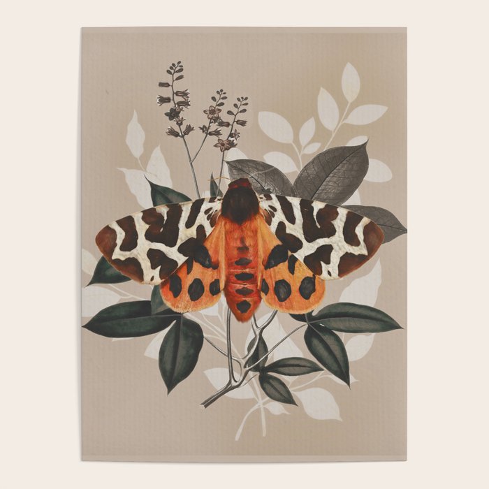 Butterfly  Poster Gallery Image 4