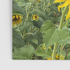 Thoughts of a Flower Poster Gallery Image 3
