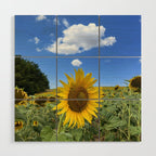 Thoughts of a Flower Wood Wall Art Gallery Image 1