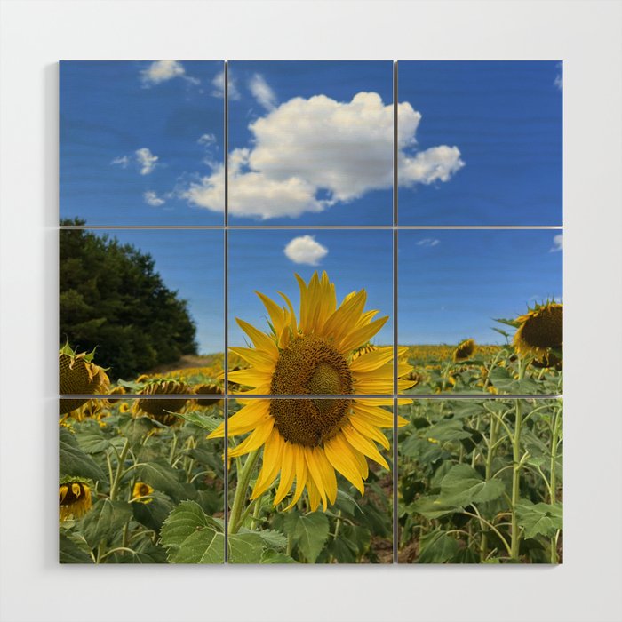Thoughts of a Flower Wood Wall Art Gallery Image 1